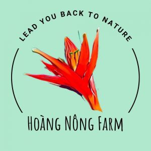hoang-nong-farm