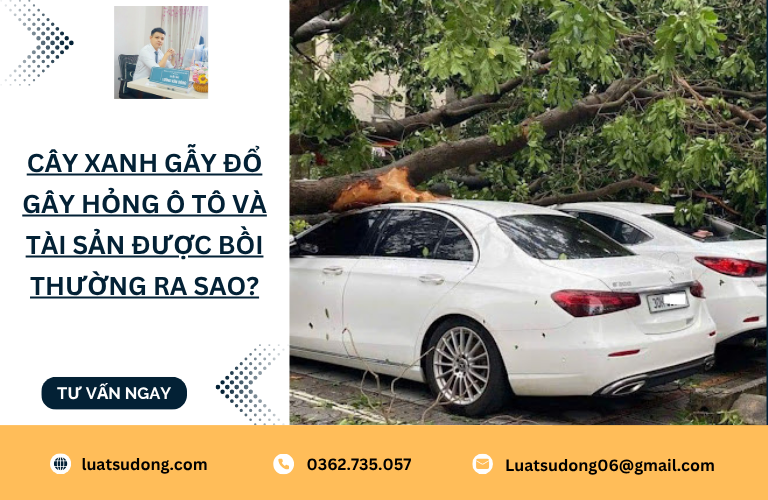 Cây xanh gẫy đổ gây hỏng ô tô và tài sản được bồi thường ra sao?
